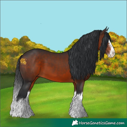 Horse Color:Brown Splash 