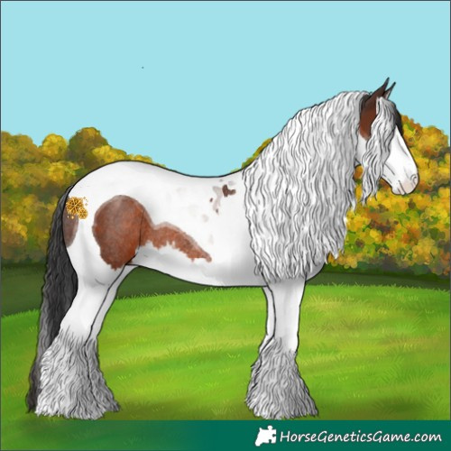 Horse Color:Brown Splash Tobiano Rabicano 
