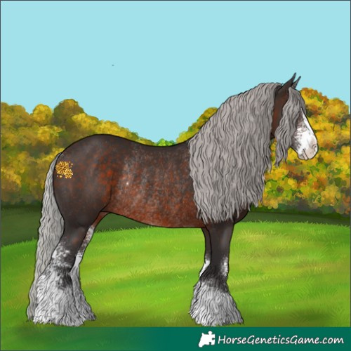 Horse Color:Silver Brown Sabino Rabicano 