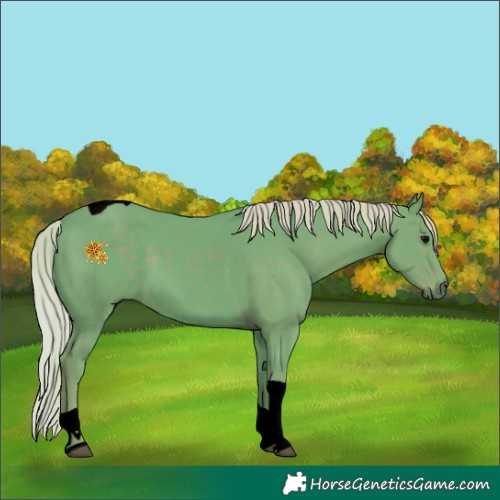 Horse Color:Void Watercolor Silver Black Tobiano 