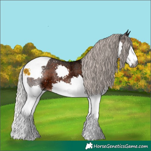 Horse Color:Gray Silver Brown Ice Splash Tobiano 