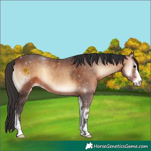 Horse Color:Brown Onyx Sabino 