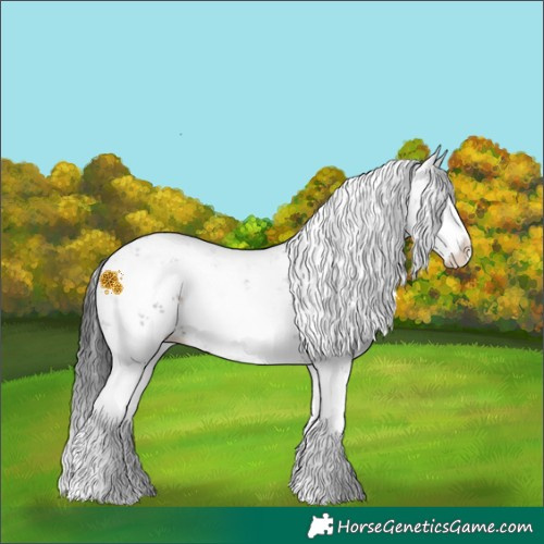 Horse Color:Brown Sabino Splash Rabicano 