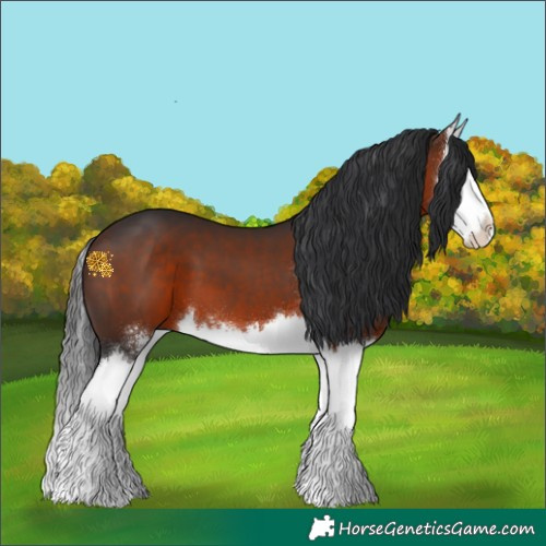 Horse Color:Brown Sabino Splash 