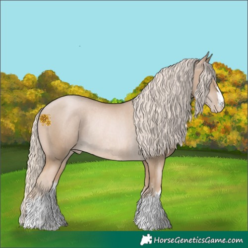 Horse Color:Chocolate Palomino Pearl Appaloosa Rabicano 