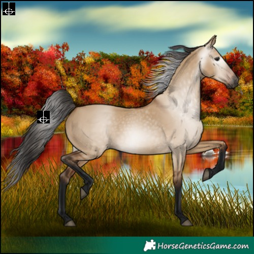 Horse Color:Gray Bay Dun 