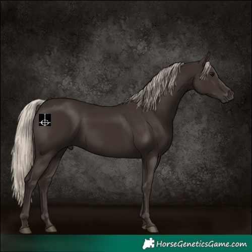Horse Color:Gray Silver Black 