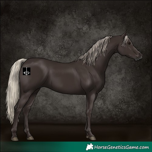 Horse Color:Gray Silver Black 
