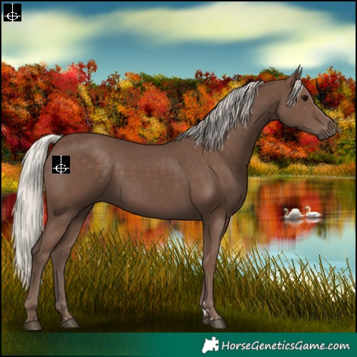 Horse Color:Silver Black 