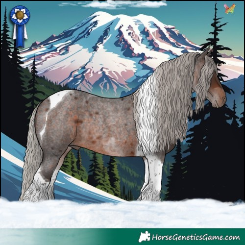 Horse Color:Silver Brown Roan Tobiano Rabicano 