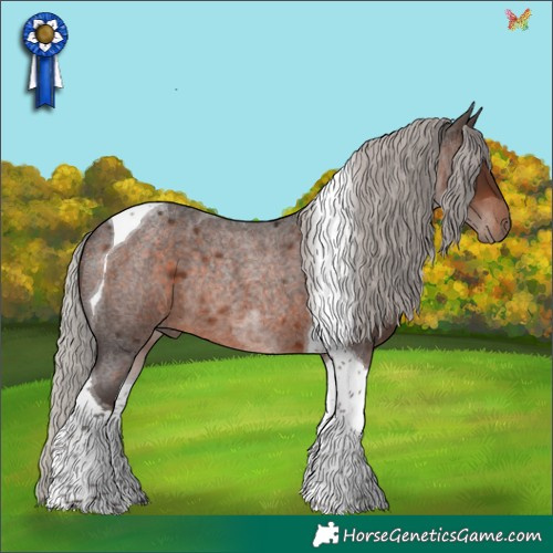 Horse Color:Silver Brown Roan Tobiano Rabicano 