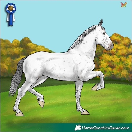 Horse Color:Gray Brown Roan Splash Tobiano Appaloosa Rabicano 