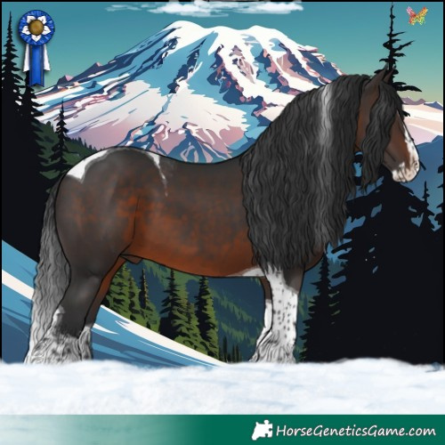 Horse Color:Brown Splash Tobiano Rabicano 