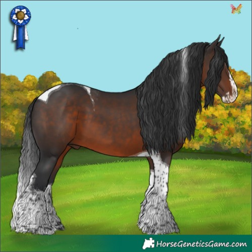 Horse Color:Brown Splash Tobiano Rabicano 
