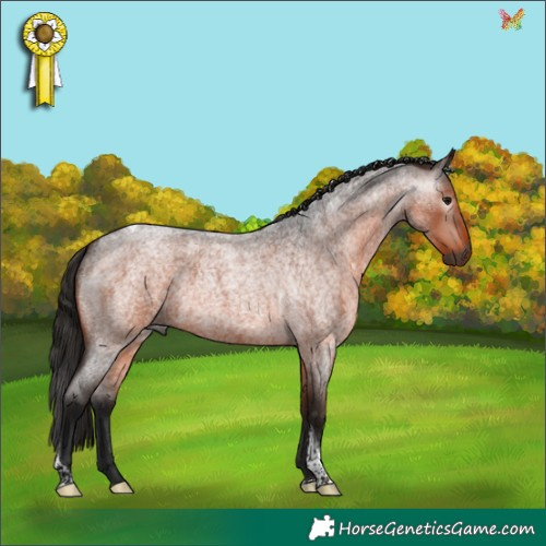 Horse Color:Gray Bay Roan Tobiano Rabicano 