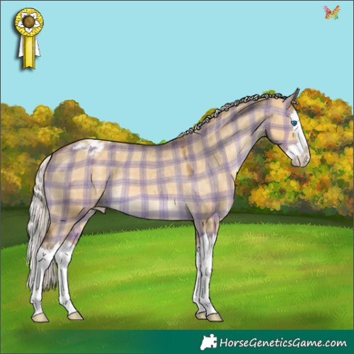 Horse Color:Plaid  Silver Buckskin Dun Splash Appaloosa 