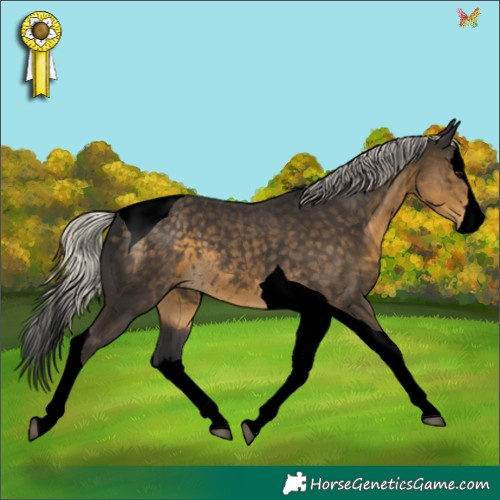 Horse Color:Void Silver Smoky Black Splash Tobiano 