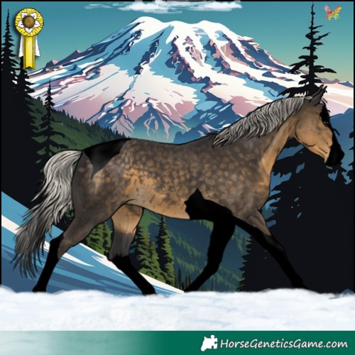 Horse Color:Void Silver Smoky Black Splash Tobiano 