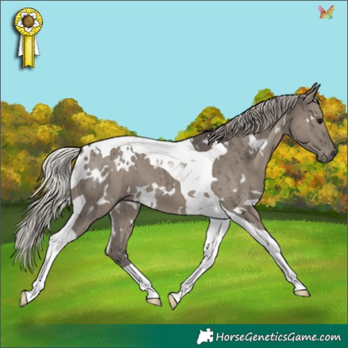 Horse Color:White Spotted Silver Grullo Tobiano Brindle 