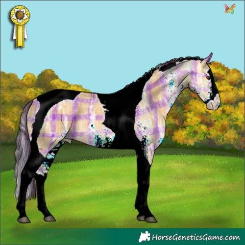 Horse Color:Plaid  White Spotted Buckskin Ice Dun Splash Tobiano 