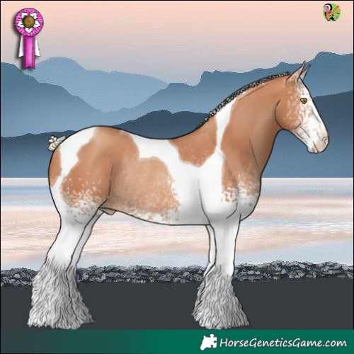Horse Color:White Spotted Silver Sable Champagne Tobiano Rabicano 