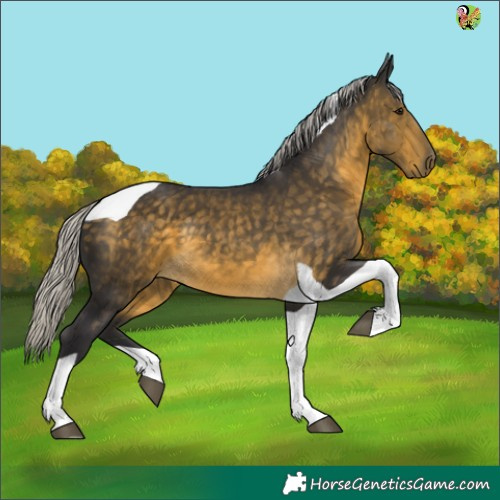Horse Color:Silver Buckskin Tobiano 
