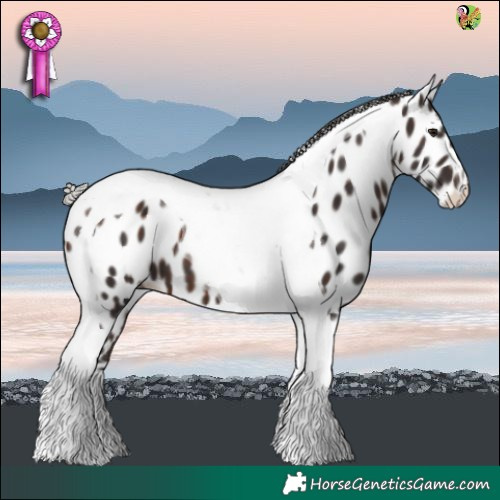 Horse Color:Silver Brown Tobiano Near Leopard 