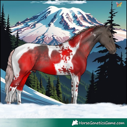 Horse Color:Silver Black Tobiano 