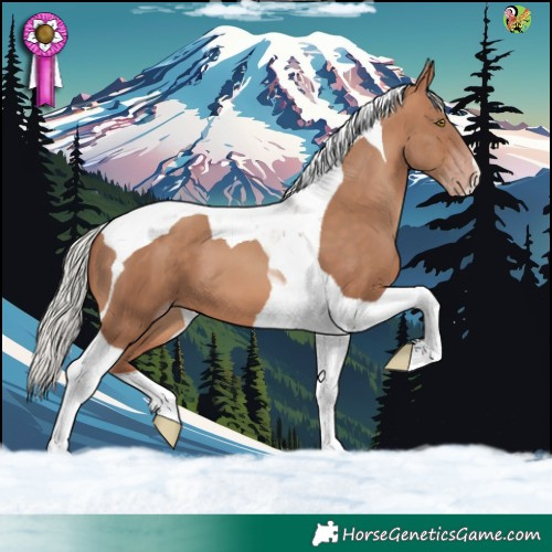 Horse Color:Silver Sable Champagne Tobiano 