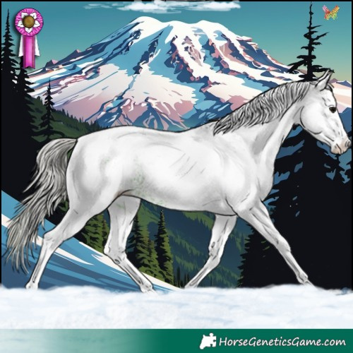 Horse Color:White Spotted Silver Black Tobiano 