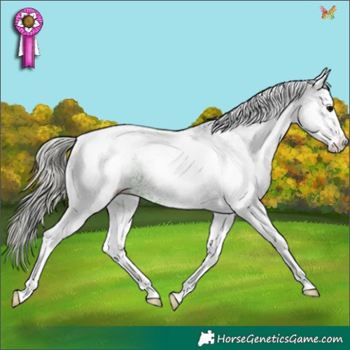 Horse Color:White Spotted Silver Black Tobiano 