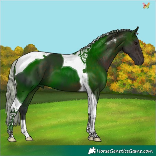 Horse Color:Silver Brown Tobiano 