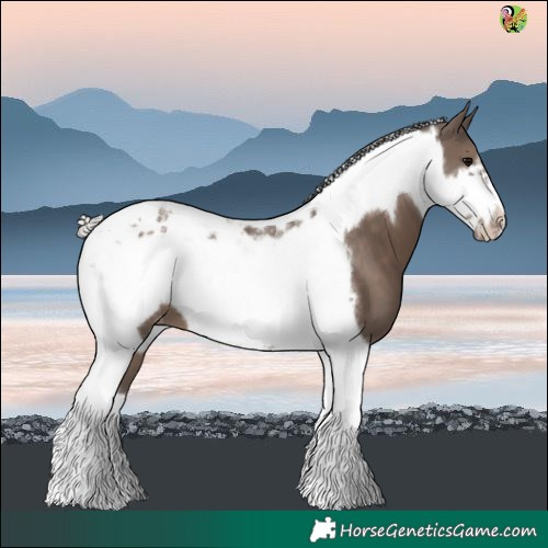 Horse Color:Silver Black Tobiano Frame Blanket 