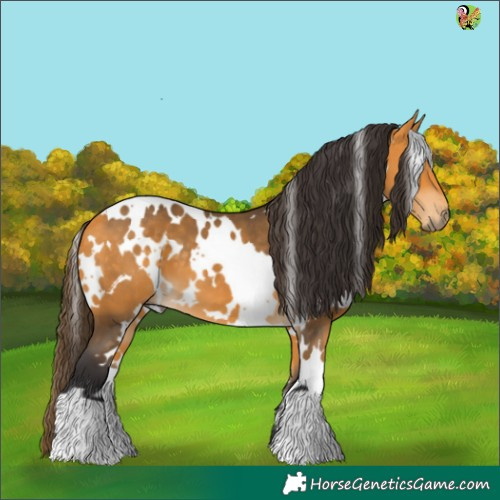 Horse Color:White Spotted Buckskin 