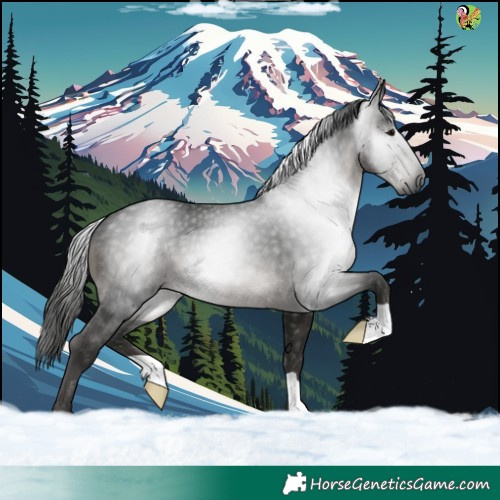 Horse Color:Gray Black 
