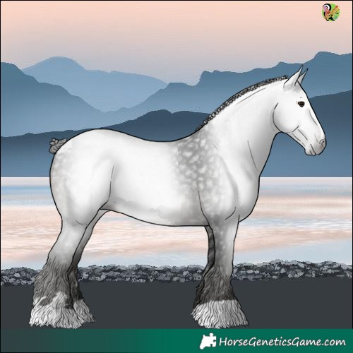 Horse Color:Gray Black Blanket 