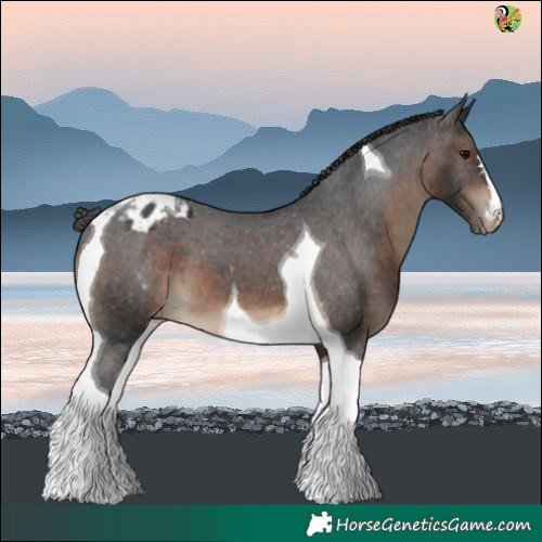 Horse Color:Brown Tobiano Varnish 