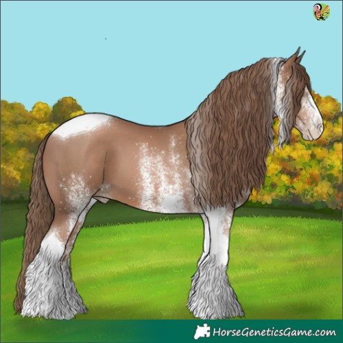 Horse Color:White Spotted Black Pearl Tobiano 