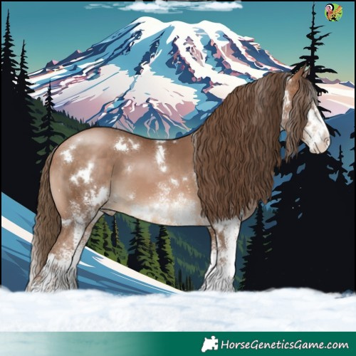 Horse Color:White Spotted Brown Pearl 