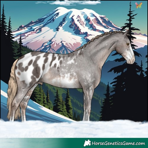Horse Color:Liver Chestnut Sabino Blanket 