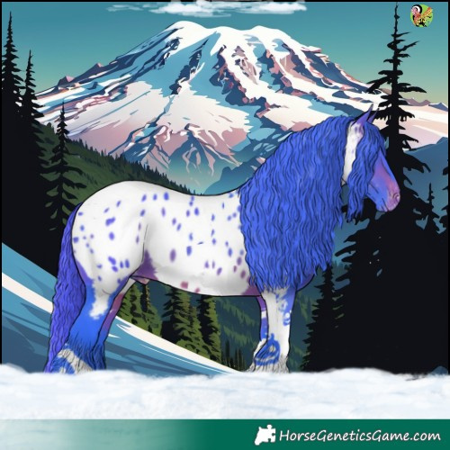 Horse Color:Watercolor Brown Tobiano Appaloosa 