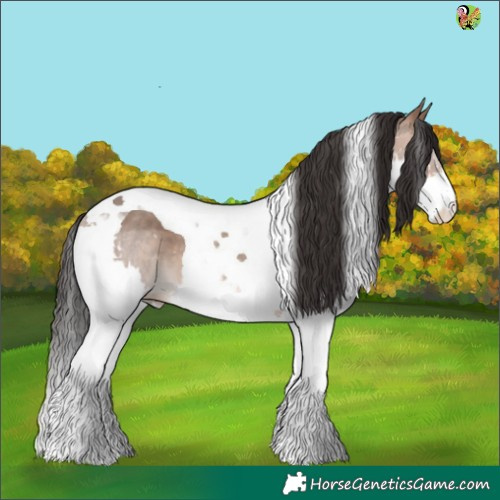 Horse Color:Sable Champagne Splash Tobiano 