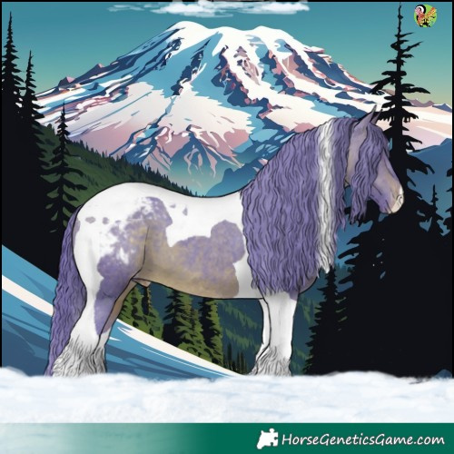 Horse Color:Watercolor Brown Tobiano Appaloosa 