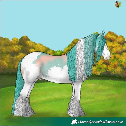 Horse Color:Watercolor Black Splash Tobiano 