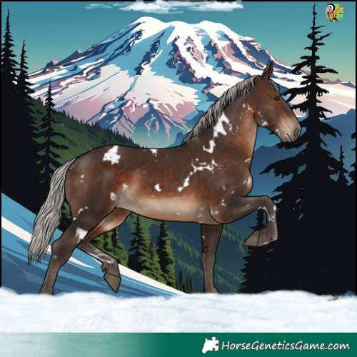 Horse Color:White Spotted Silver Brown 