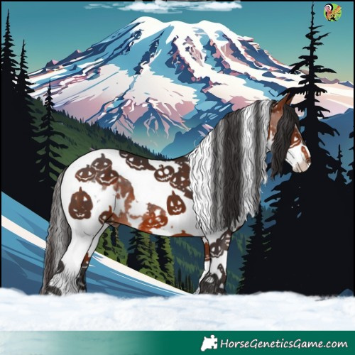 Horse Color:White Spotted Bay Splash Tobiano 