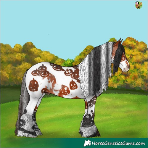 Horse Color:White Spotted Bay Splash Tobiano 