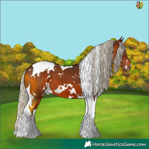 Horse Color:White Spotted Silver Brown Tobiano 