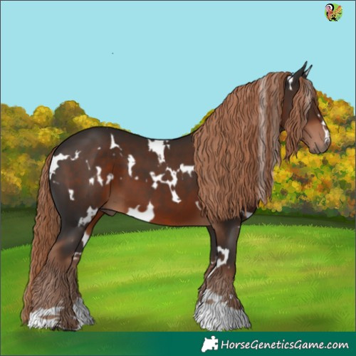 Horse Color:White Spotted Liver Chestnut 