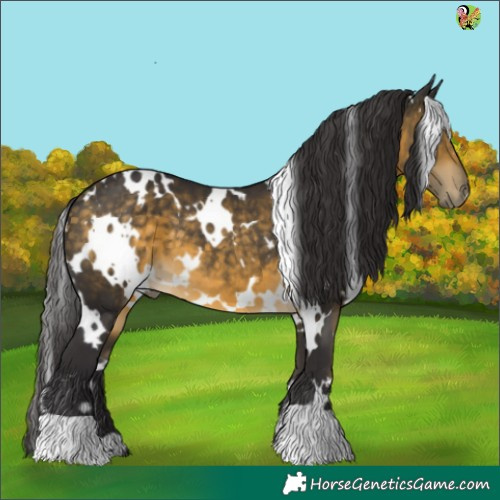 Horse Color:White Spotted Buckskin 